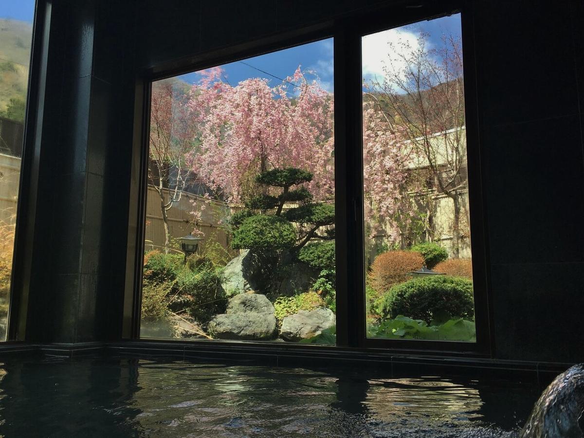 Shoji Mount Hotel Fujikawaguchiko Dış mekan fotoğraf